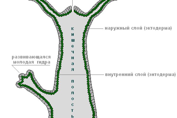 Где брать ссылки на кракен